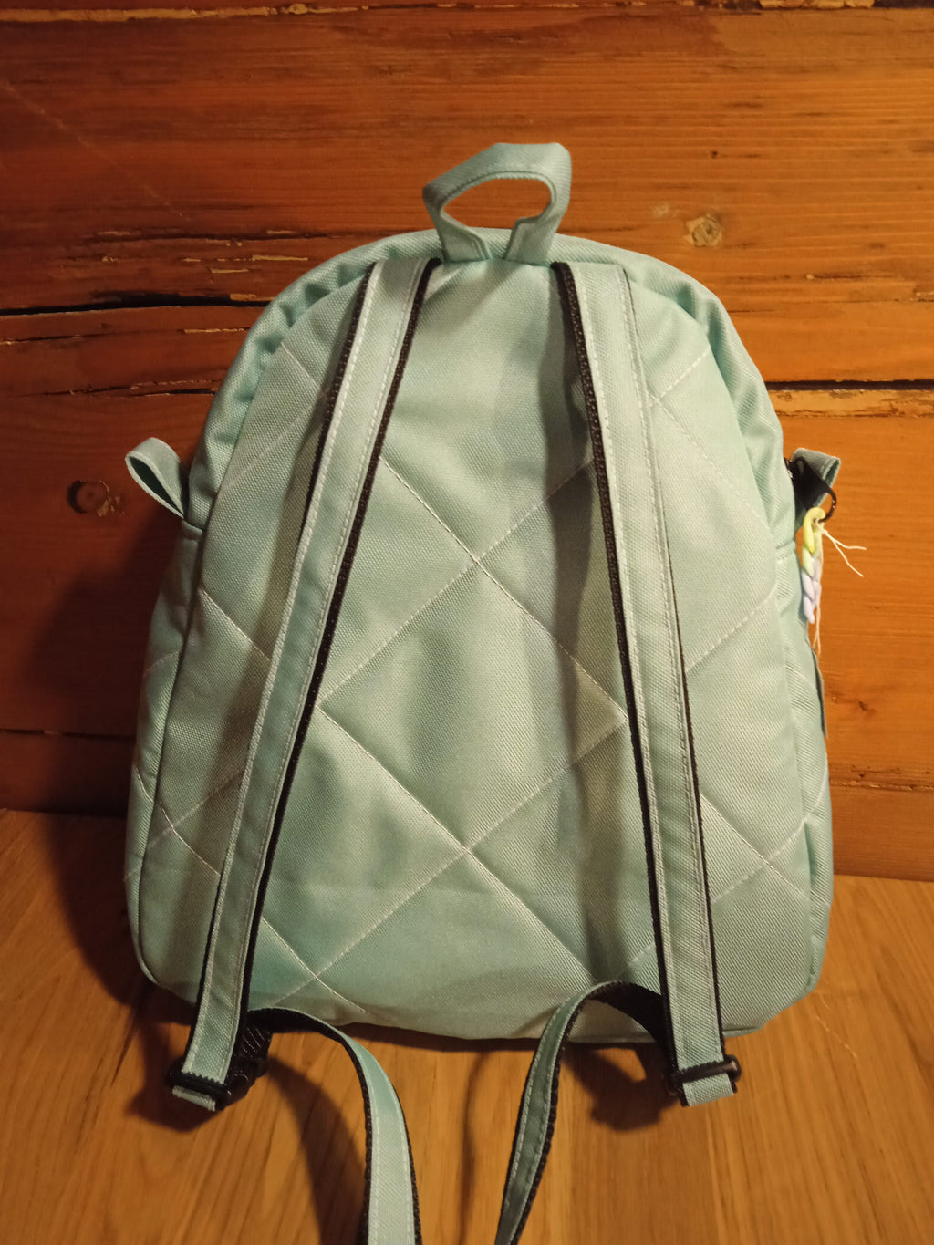 DĚTSKÝ BATŮŽEK ,,tlapková patrola - mint"