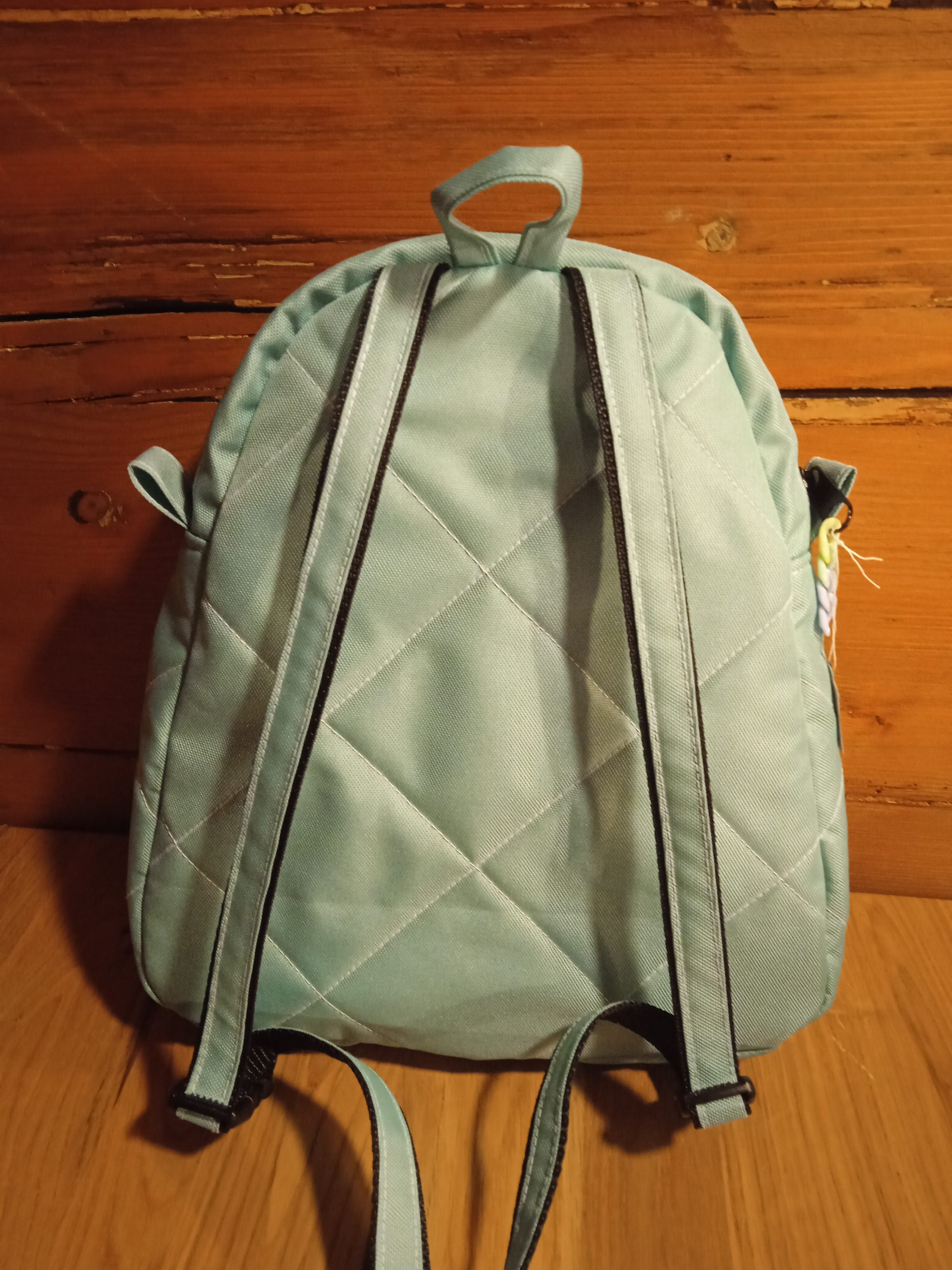 DĚTSKÝ BATŮŽEK ,,tlapková patrola - mint"