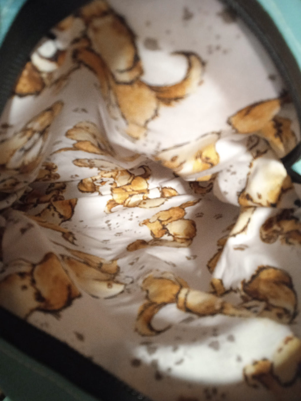 DĚTSKÝ BATŮŽEK ,,tlapková patrola - mint"