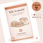 MINI průvodce 2 – Kdy to pustit